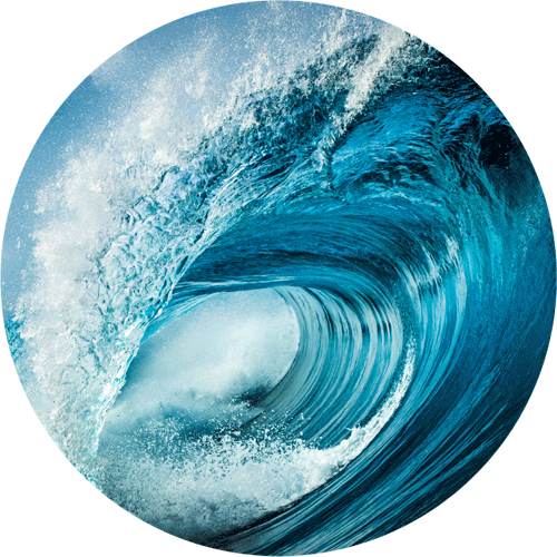 Escape to the Tropics with our Ocean & Coconut Collection