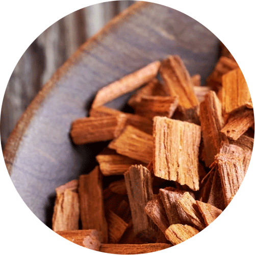 Step into the Amber & Sandalwood Collection