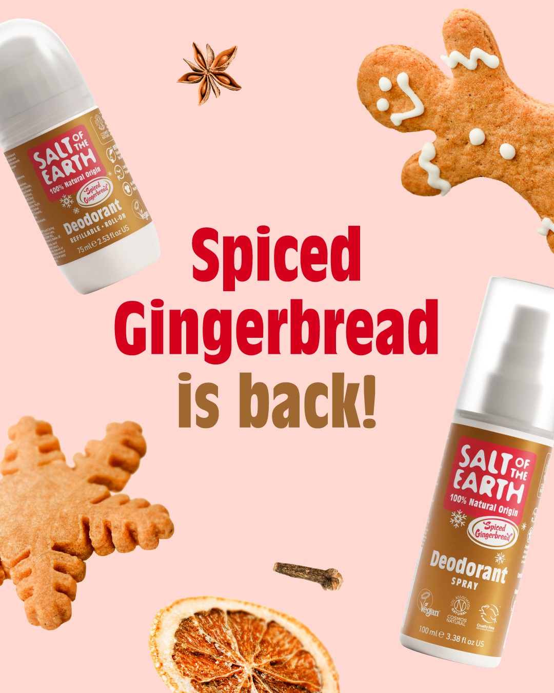 Spiced_Gingerbread_3.jpg