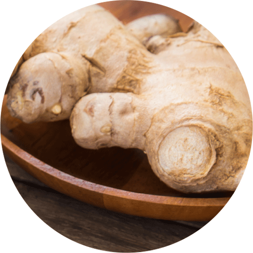Welcome to the Ginger & Jasmine Collection!